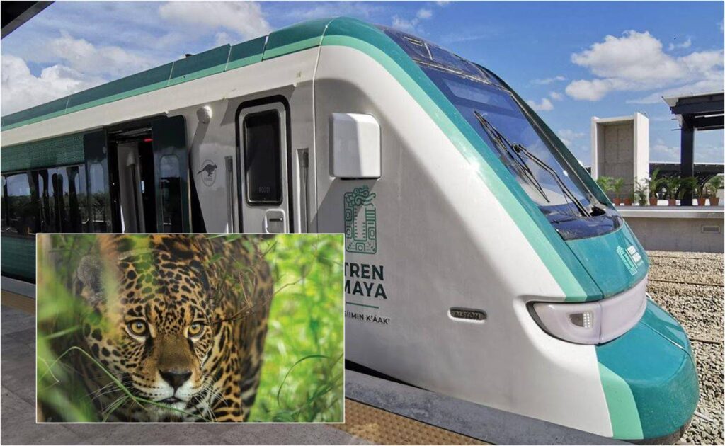 Profepa vigilará manejo de fauna en el Tren Maya