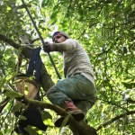 Cortadores de aguacate, sin seguridad social, utilidades ni vacaciones