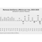 Caen 12 remesas de mexicanos