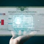 Encuesta EF La nueva CURP biométrica divide opiniones