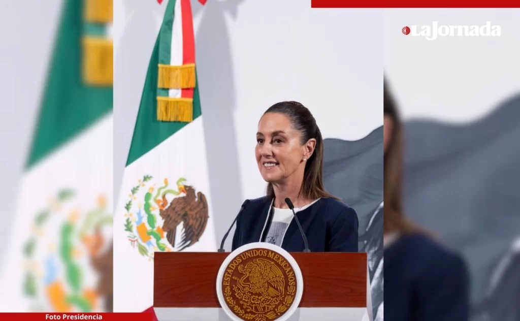 Gobierno denunciará por difamación al abogado Lichtman Sheinbaum