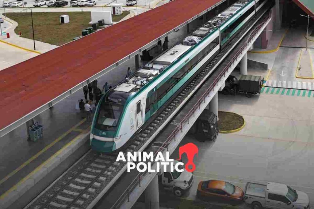 Primer Informe de Gobierno Sheinbaum presume avances en materia ambiental y climática destaca Tren Maya y Sembrando Vida