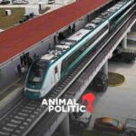 Primer Informe de Gobierno Sheinbaum presume avances en materia ambiental y climática destaca Tren Maya y Sembrando Vida