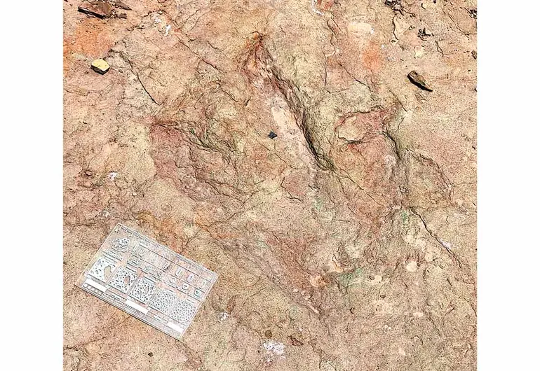 INAH Descubren pisadas de dinosaurios en la zona de Tehuacán, Puebla